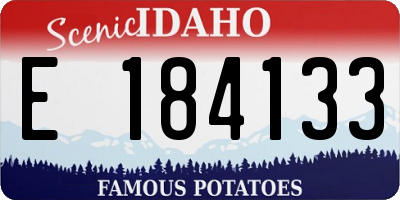 ID license plate E184133