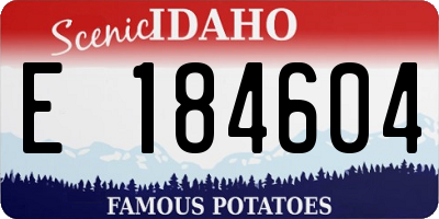 ID license plate E184604