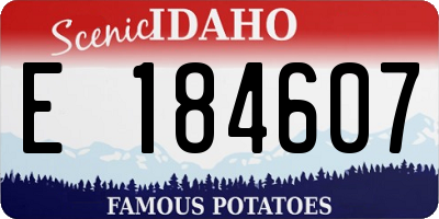 ID license plate E184607