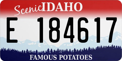 ID license plate E184617