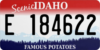ID license plate E184622