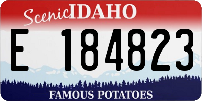 ID license plate E184823