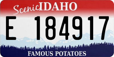 ID license plate E184917