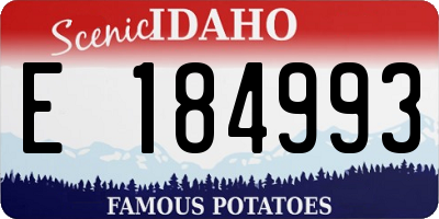 ID license plate E184993