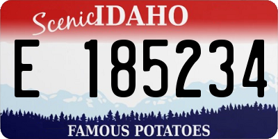 ID license plate E185234