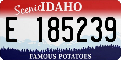 ID license plate E185239