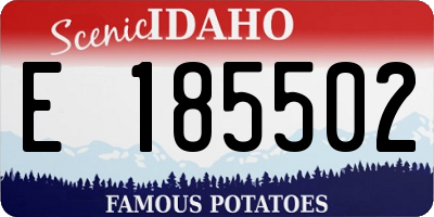ID license plate E185502