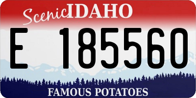 ID license plate E185560