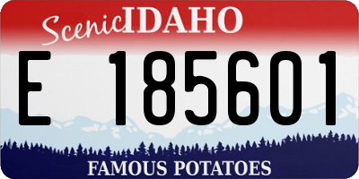 ID license plate E185601