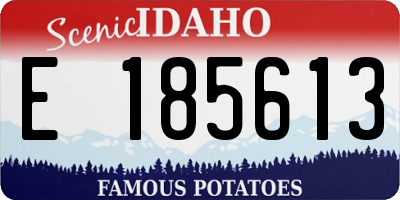 ID license plate E185613