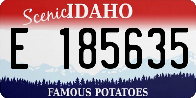 ID license plate E185635