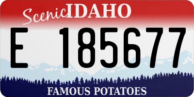 ID license plate E185677