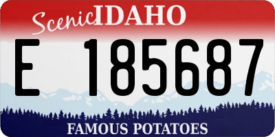 ID license plate E185687