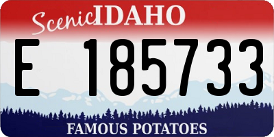 ID license plate E185733