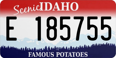 ID license plate E185755