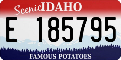 ID license plate E185795