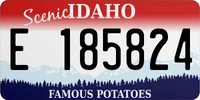 ID license plate E185824