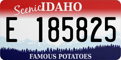 ID license plate E185825