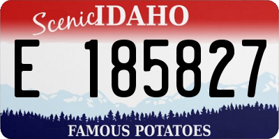 ID license plate E185827