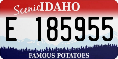 ID license plate E185955