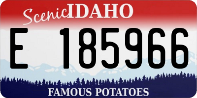 ID license plate E185966
