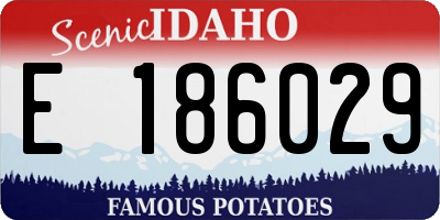 ID license plate E186029