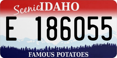 ID license plate E186055