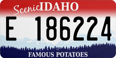 ID license plate E186224