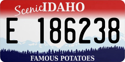ID license plate E186238