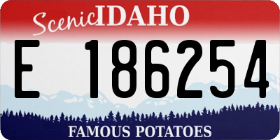 ID license plate E186254