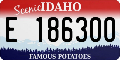 ID license plate E186300