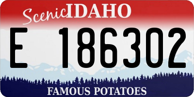 ID license plate E186302