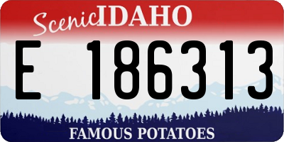 ID license plate E186313