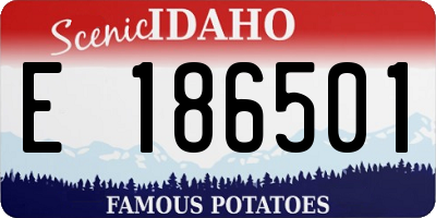 ID license plate E186501