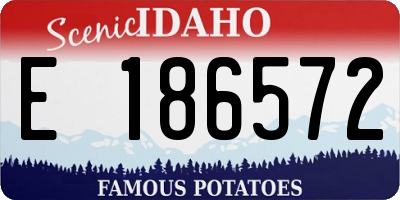 ID license plate E186572