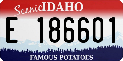 ID license plate E186601