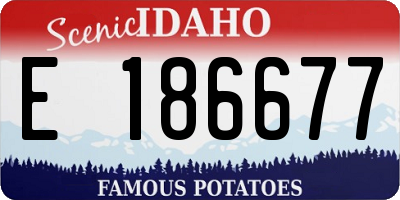 ID license plate E186677