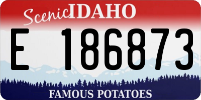 ID license plate E186873