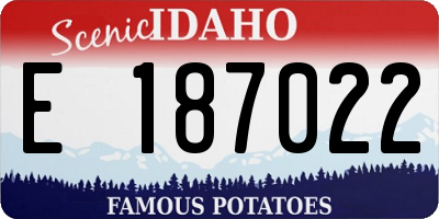 ID license plate E187022
