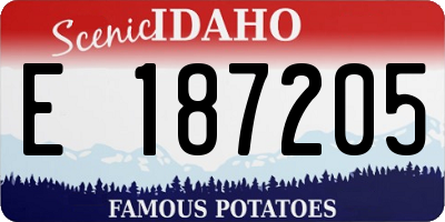ID license plate E187205