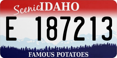 ID license plate E187213