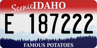 ID license plate E187222
