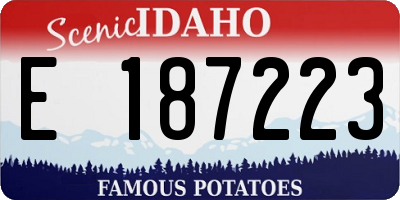 ID license plate E187223