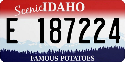 ID license plate E187224