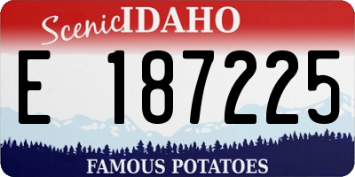 ID license plate E187225