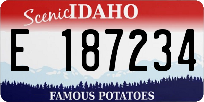 ID license plate E187234