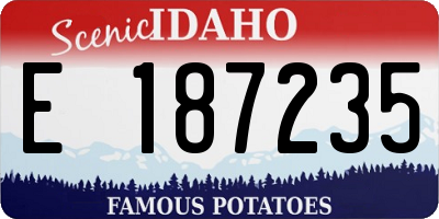 ID license plate E187235
