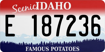 ID license plate E187236