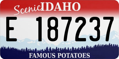 ID license plate E187237