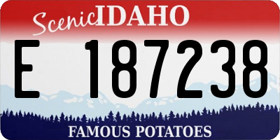 ID license plate E187238